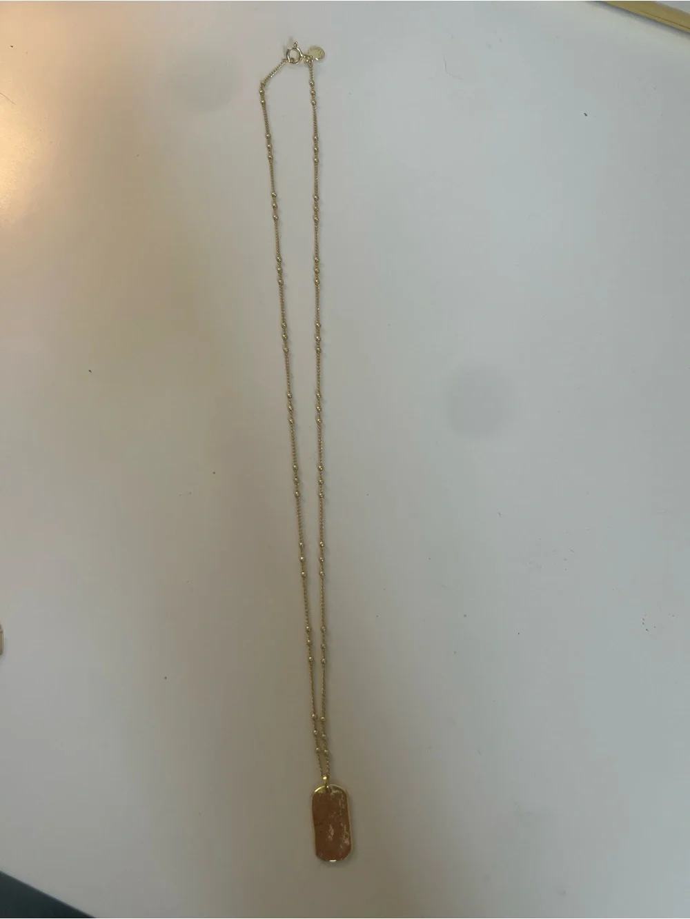 🏹 Gorjana Griffin Dog Tag Necklace